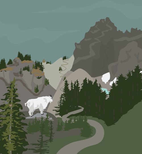 Web_CanyonCreeek